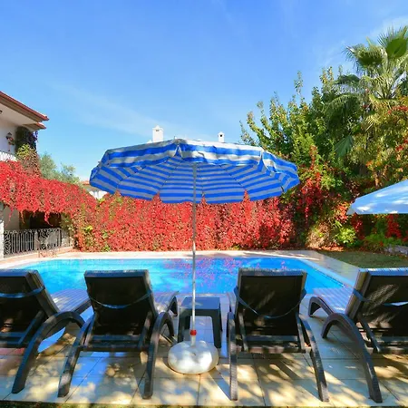 Korunakli Sarmasik Villa