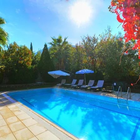 Korunakli Sarmasik Villa Oludeniz